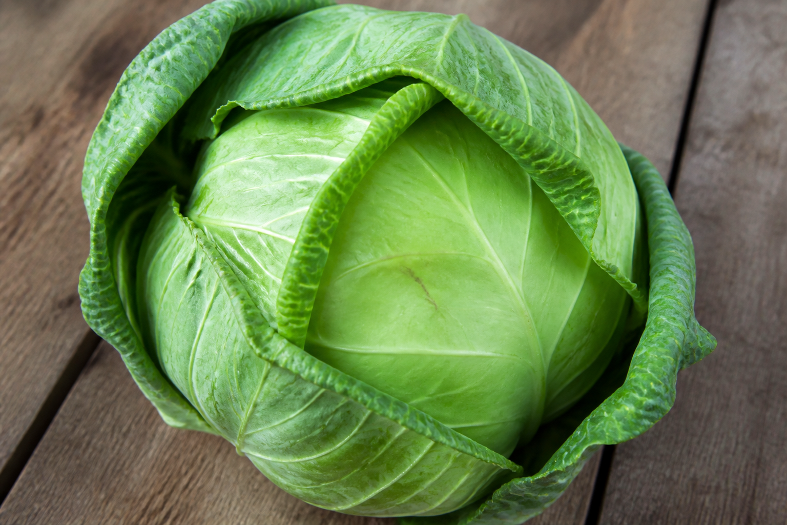 Green Cabbage