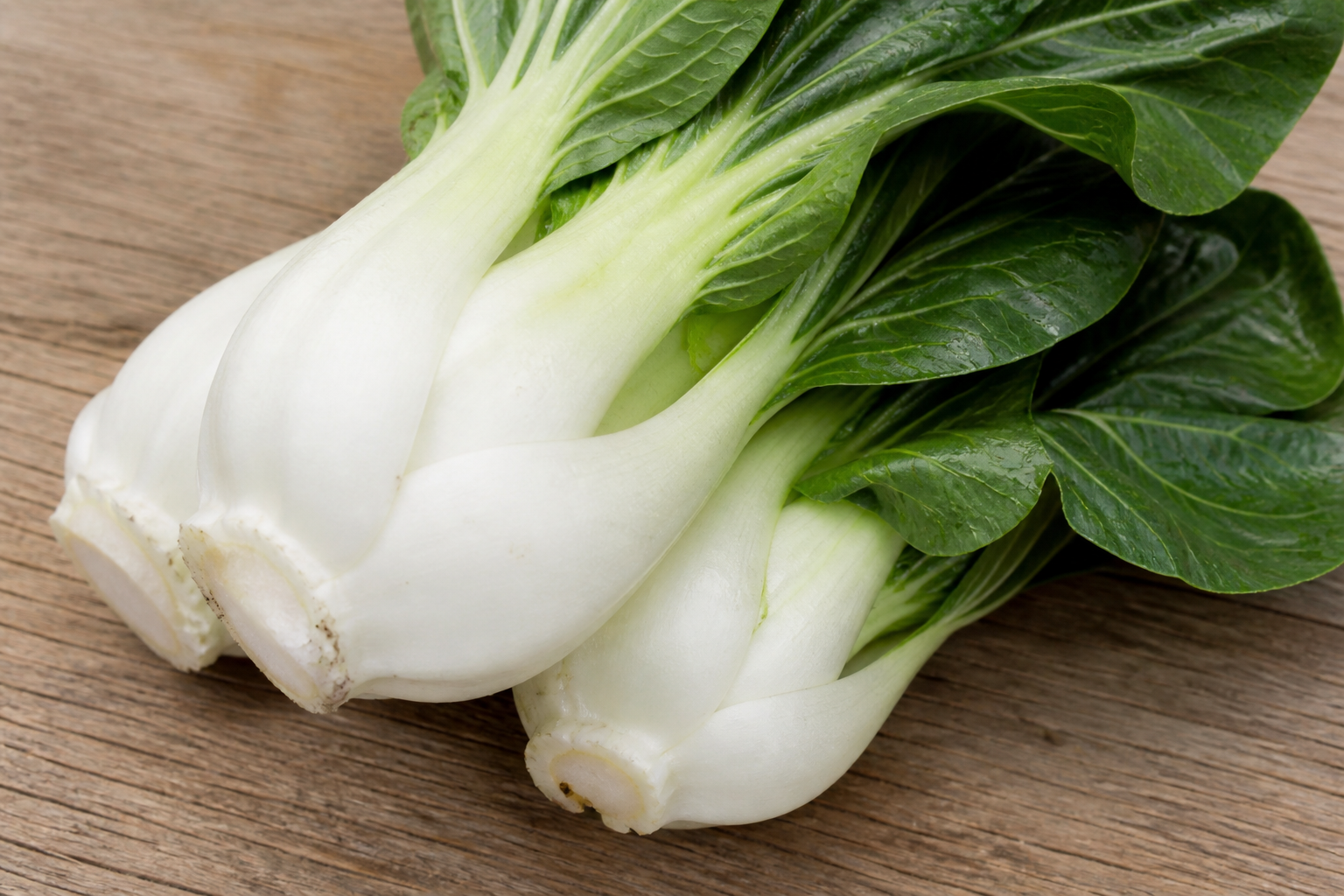 Bok Choy