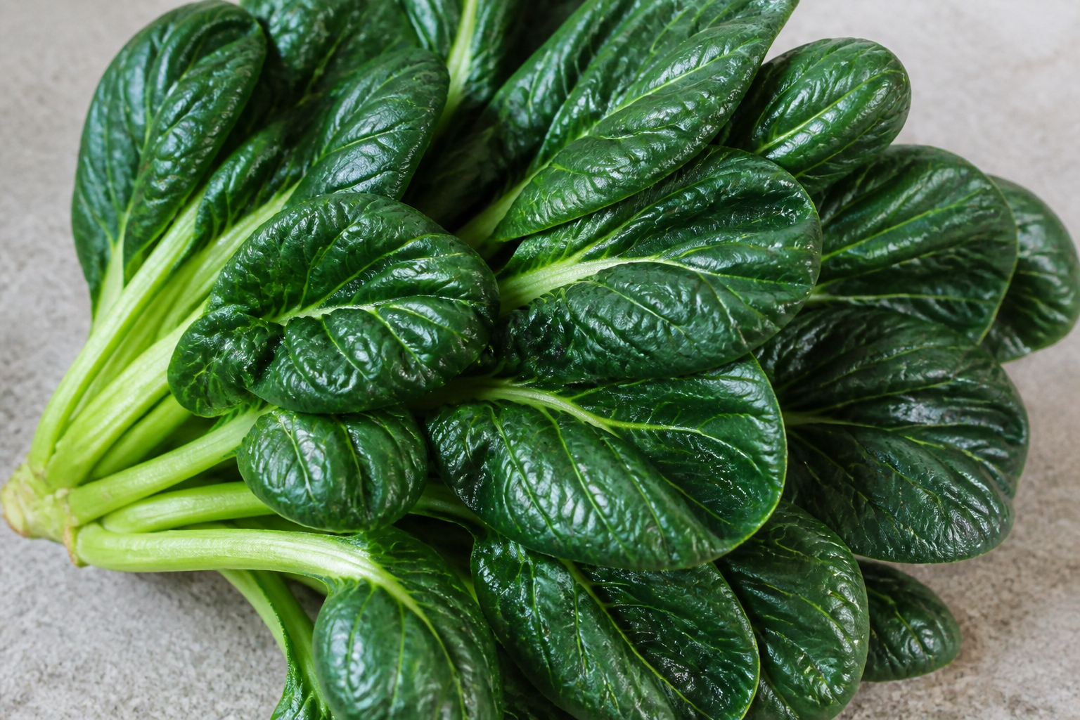 Tatsoi Rosette