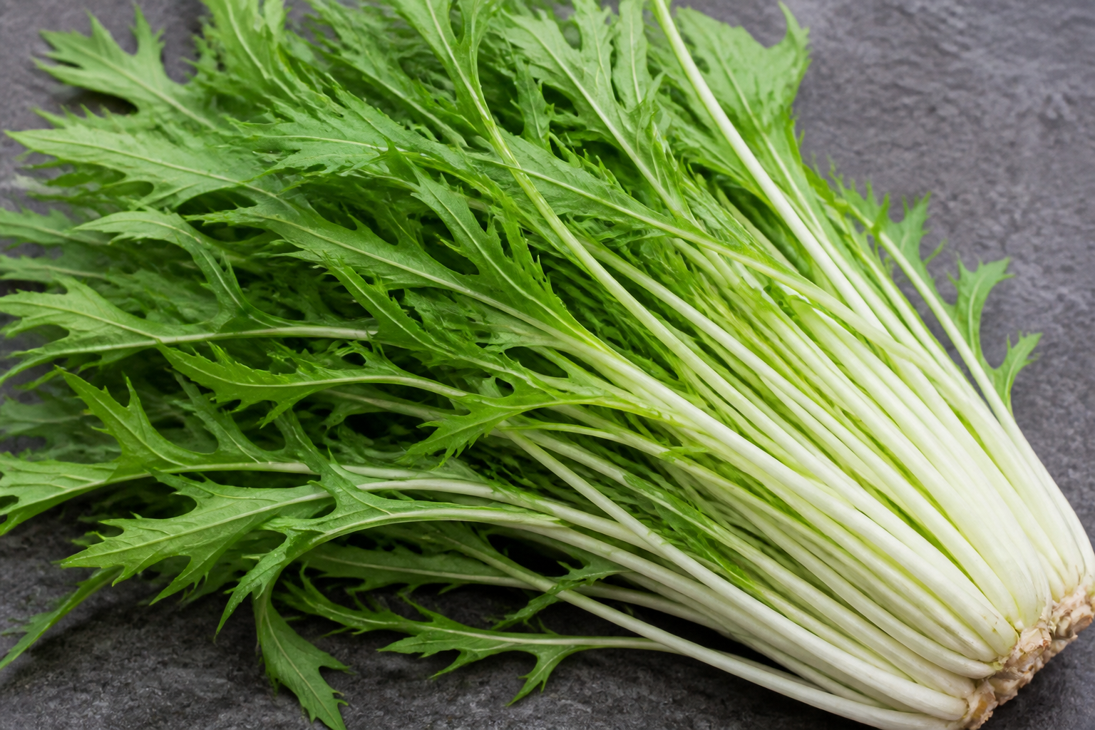 Mizuna Greens