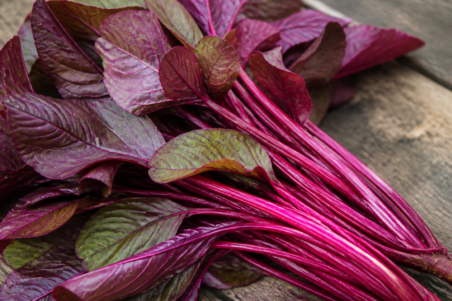 Red Amaranth Leaves
