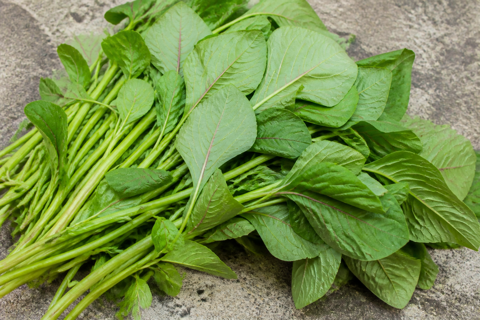 Green Amaranth Leaves