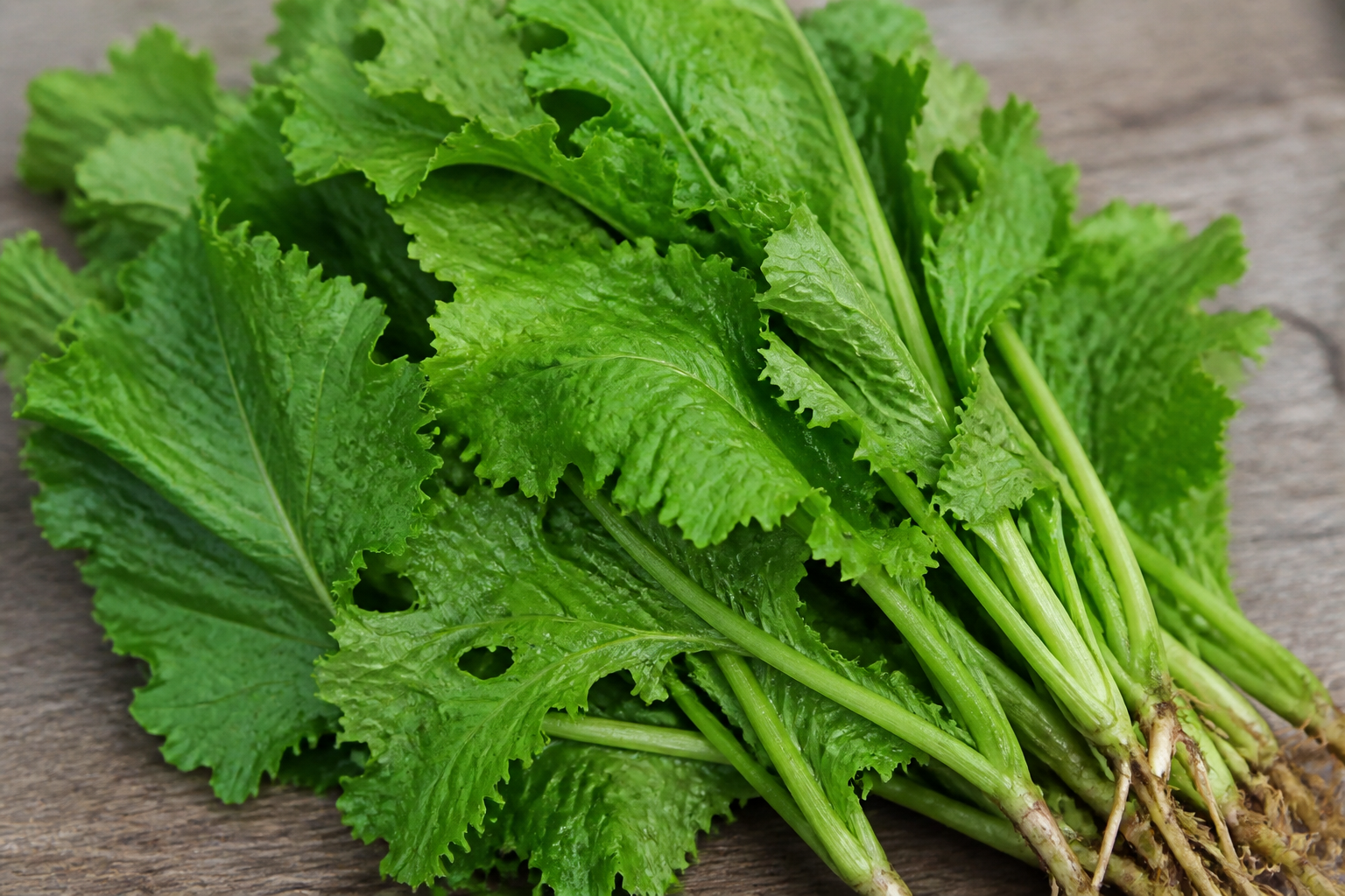 Mustard Greens