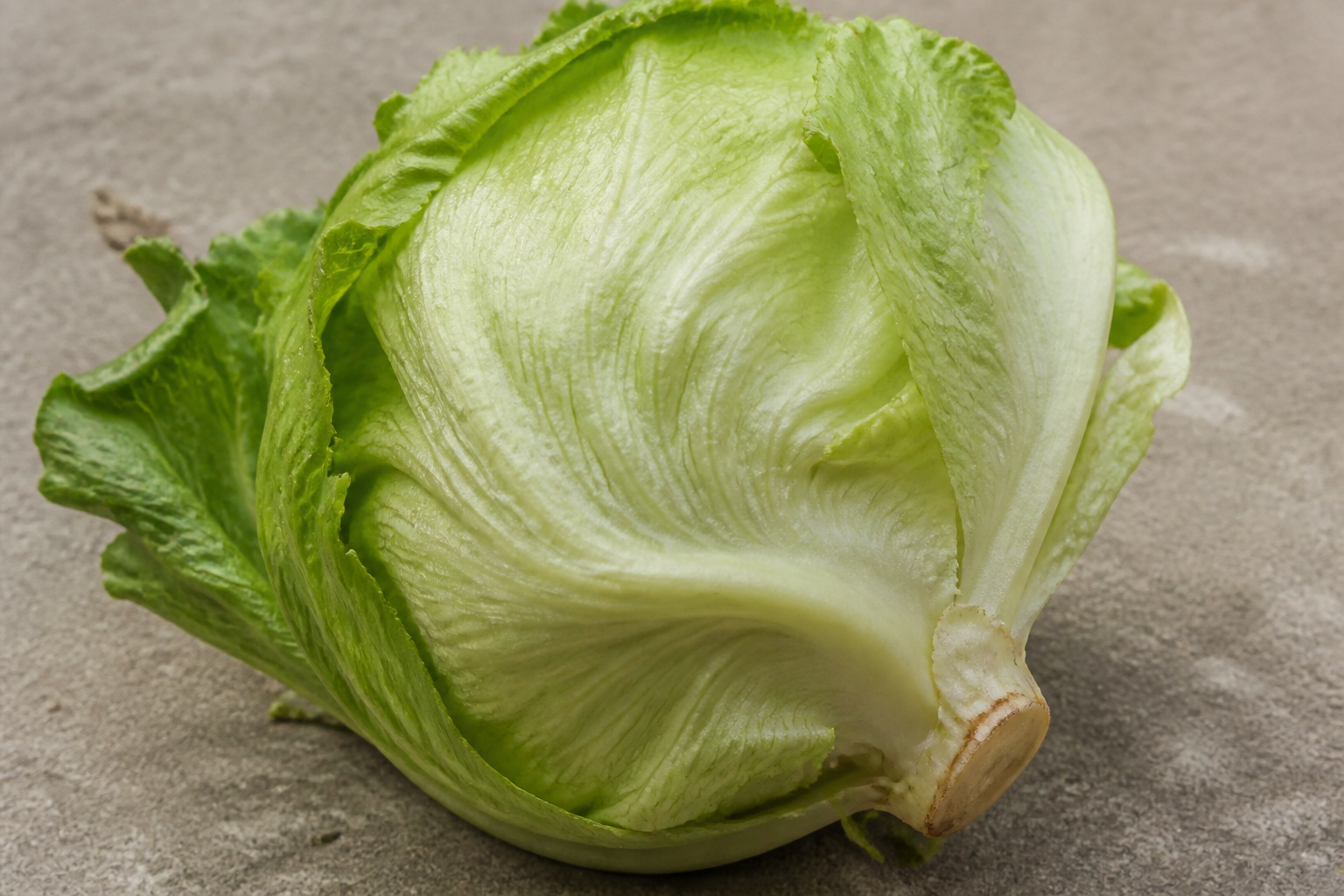 Iceberg Lettuce