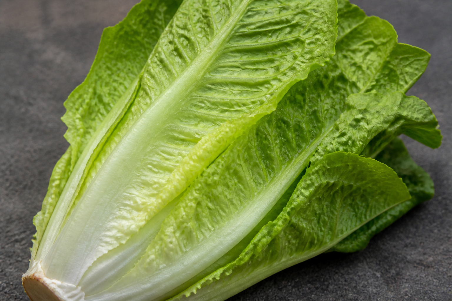 Romaine Lettuce