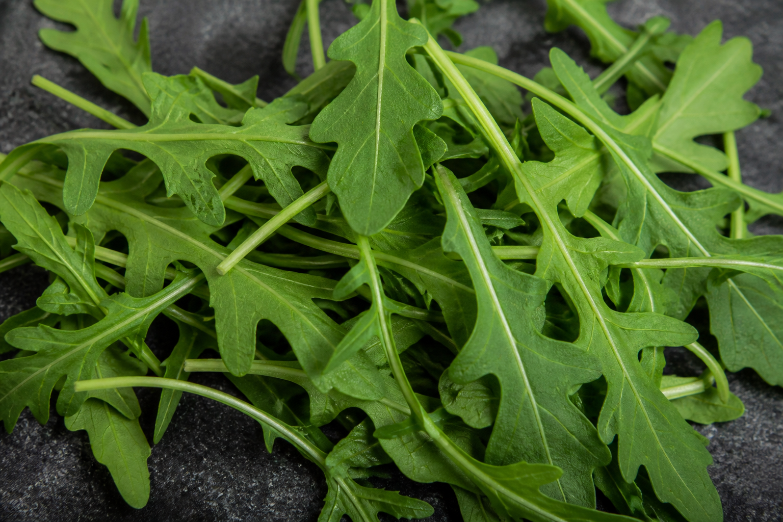 Wild Rocket Arugula