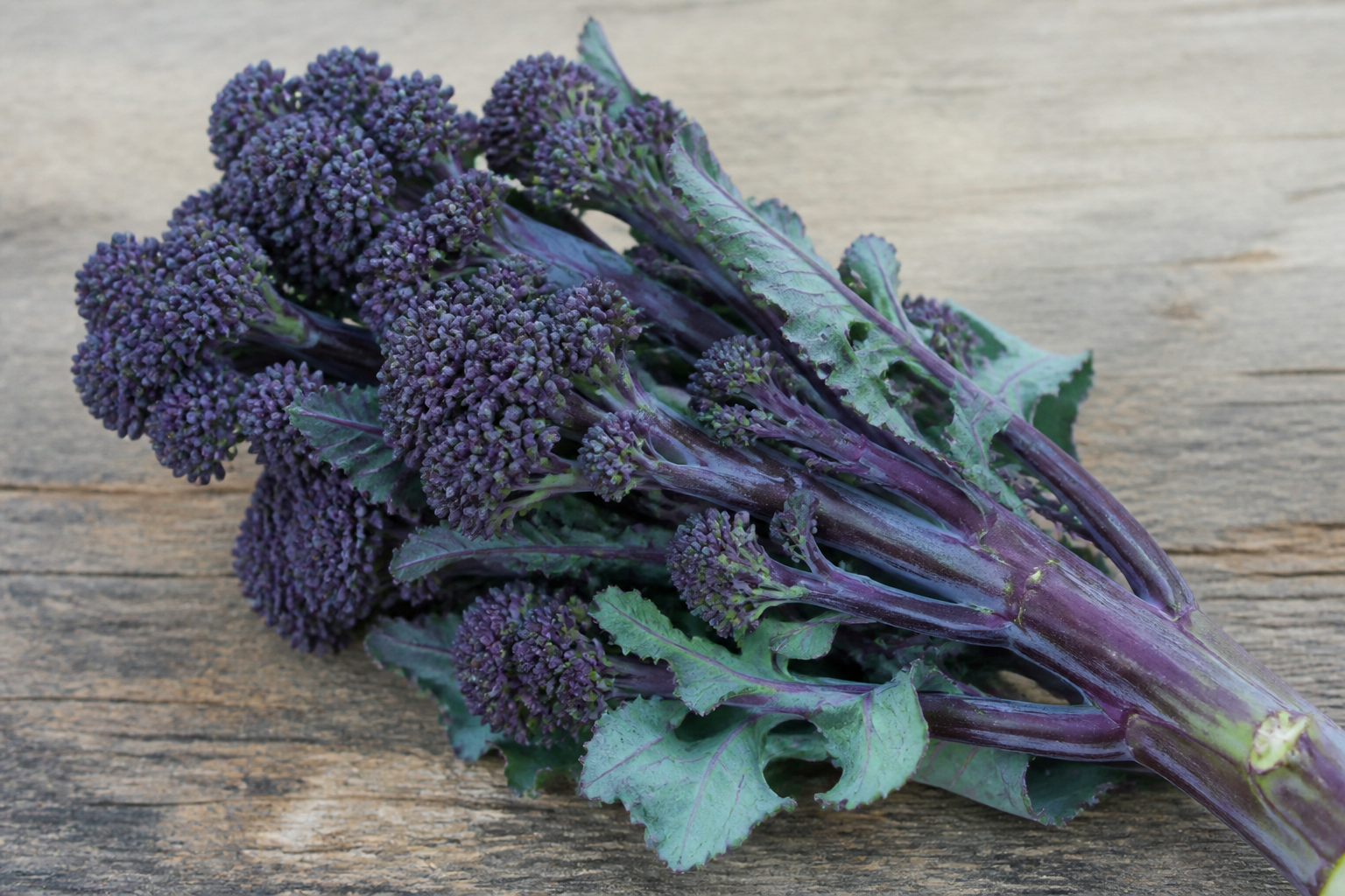 Purple Sprouting Broccoli