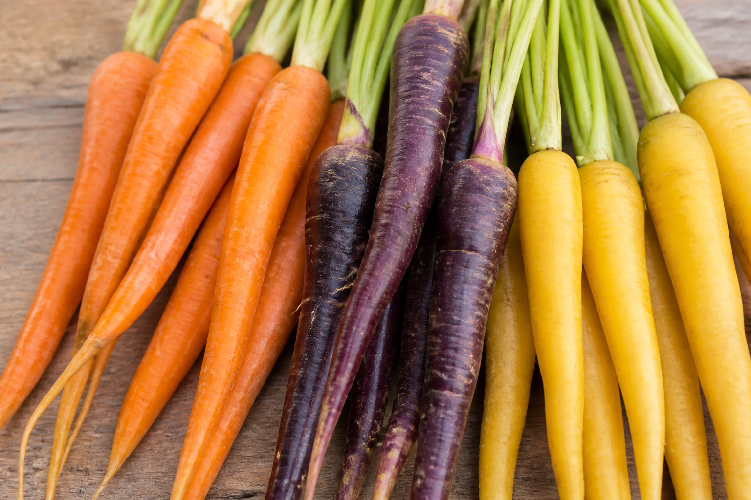 Rainbow Carrot