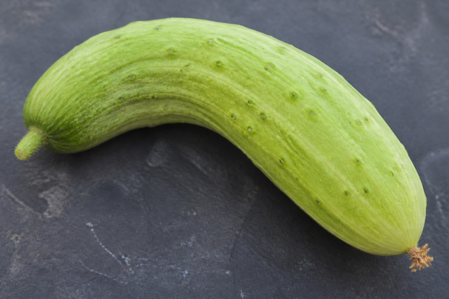 Armenian Cucumber