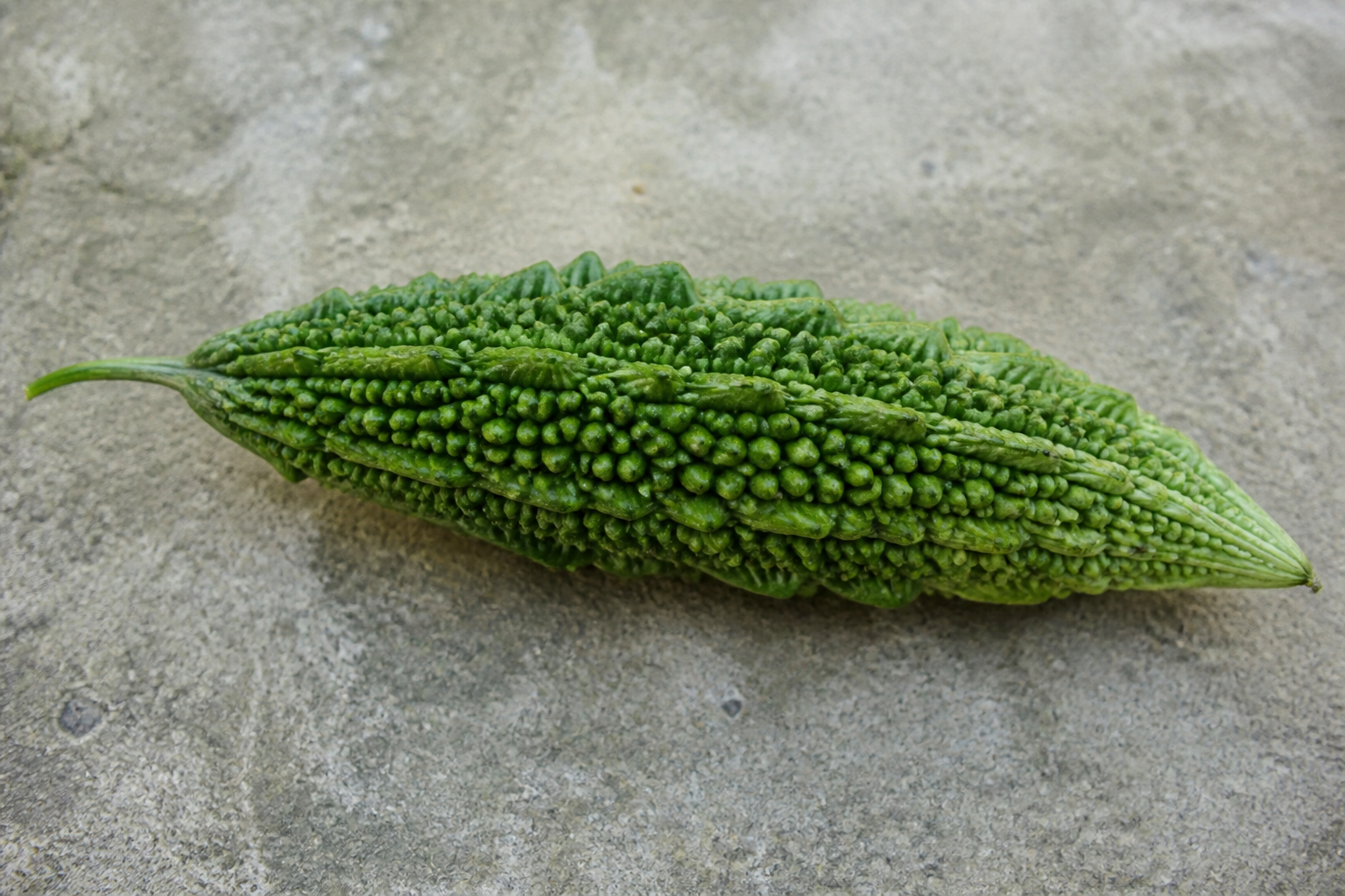 Bitter Gourd Karela