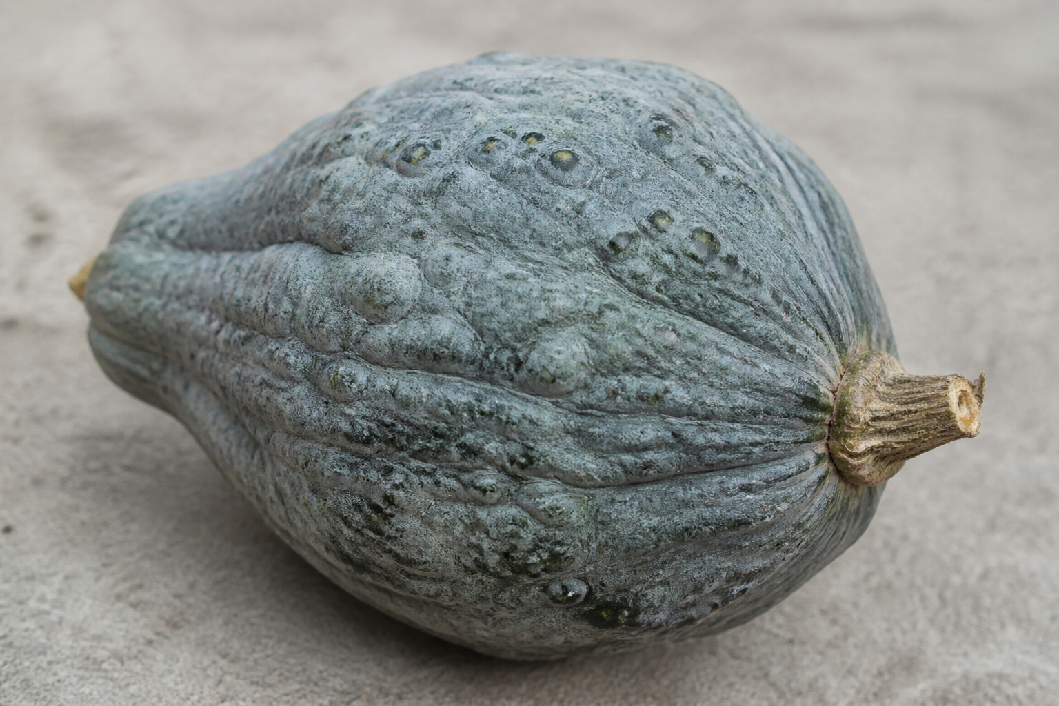 Hubbard Squash