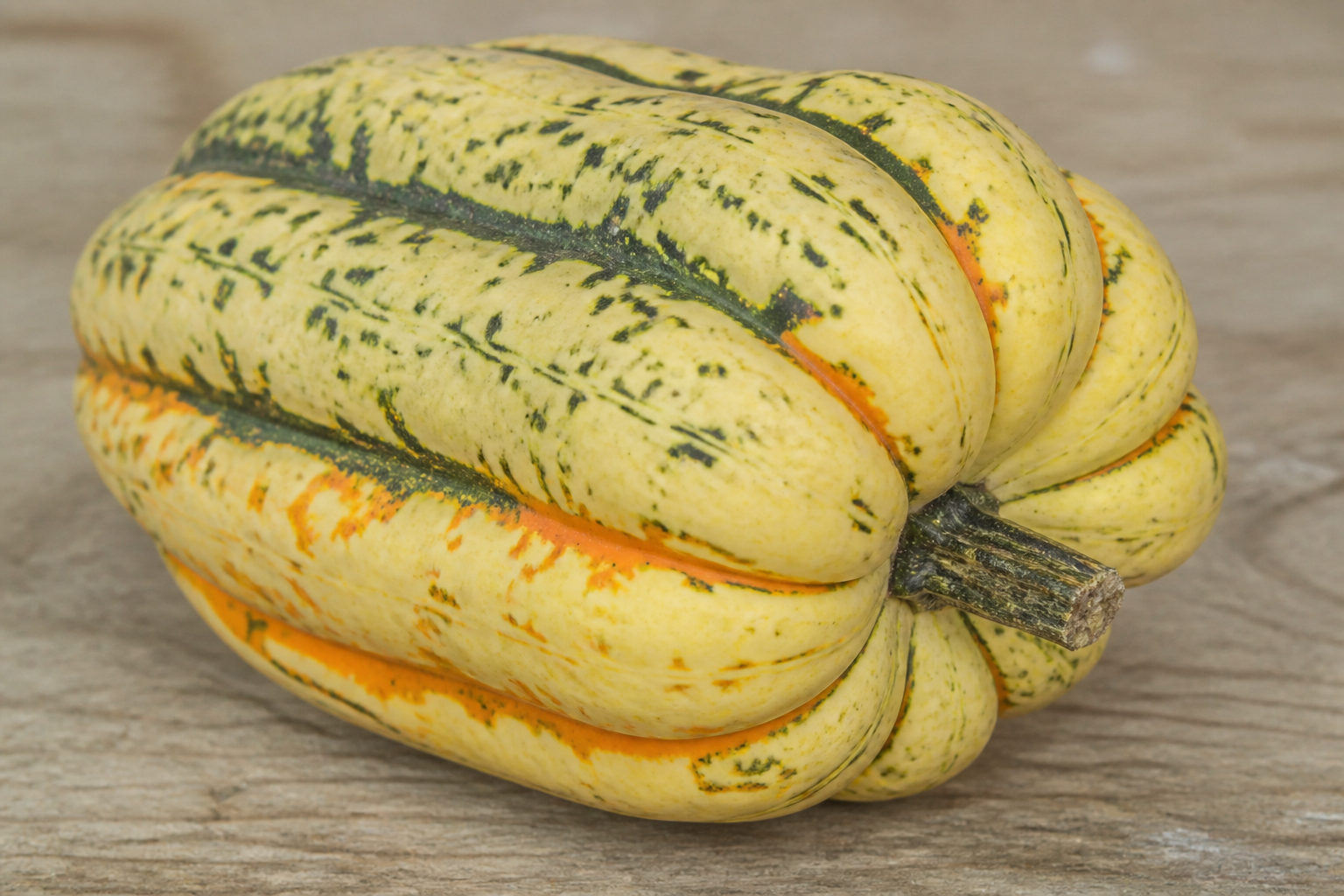 Carnival Squash