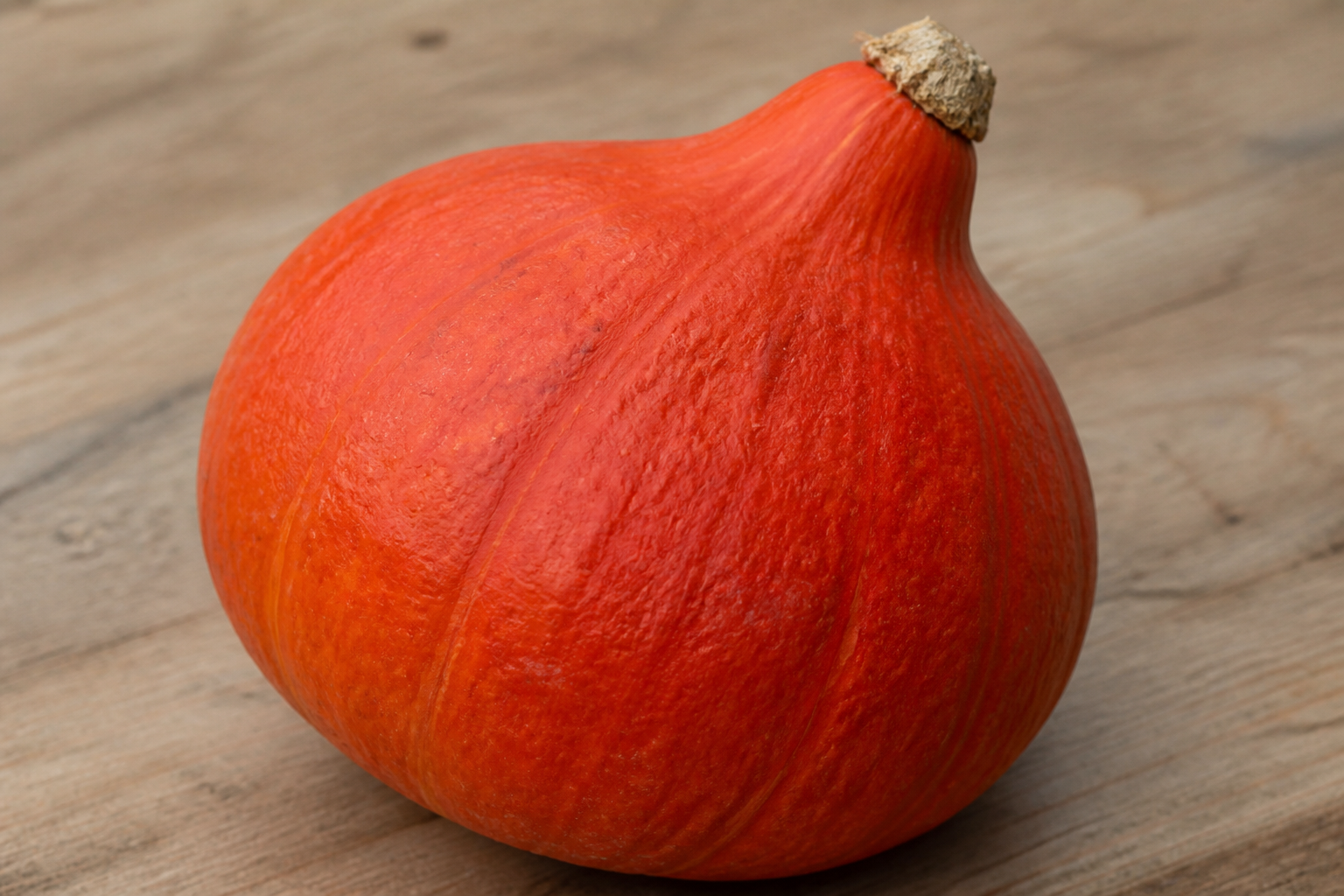 Red Kuri Squash