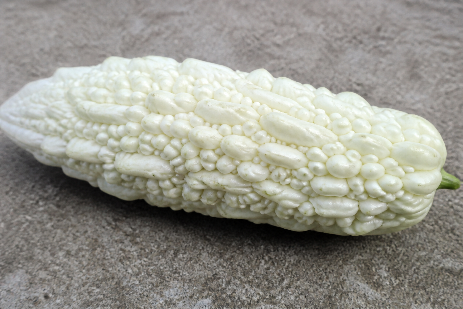 White Bitter Melon