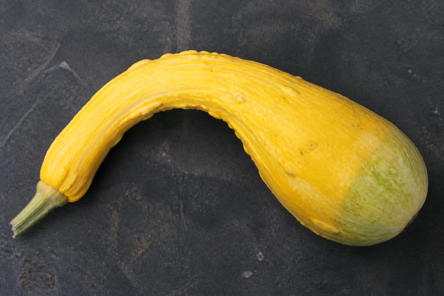 Crookneck Squash