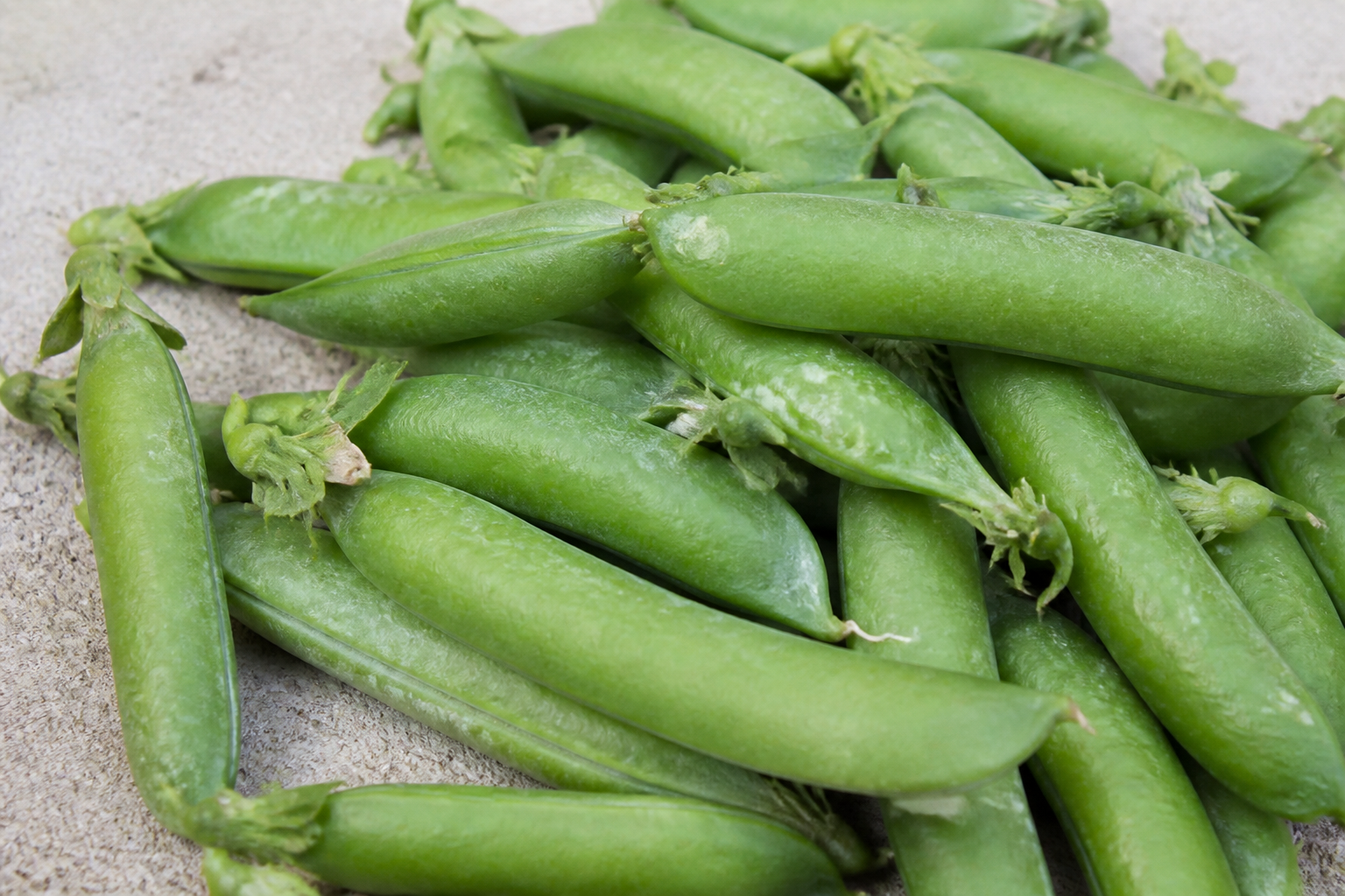 Beans & Pods