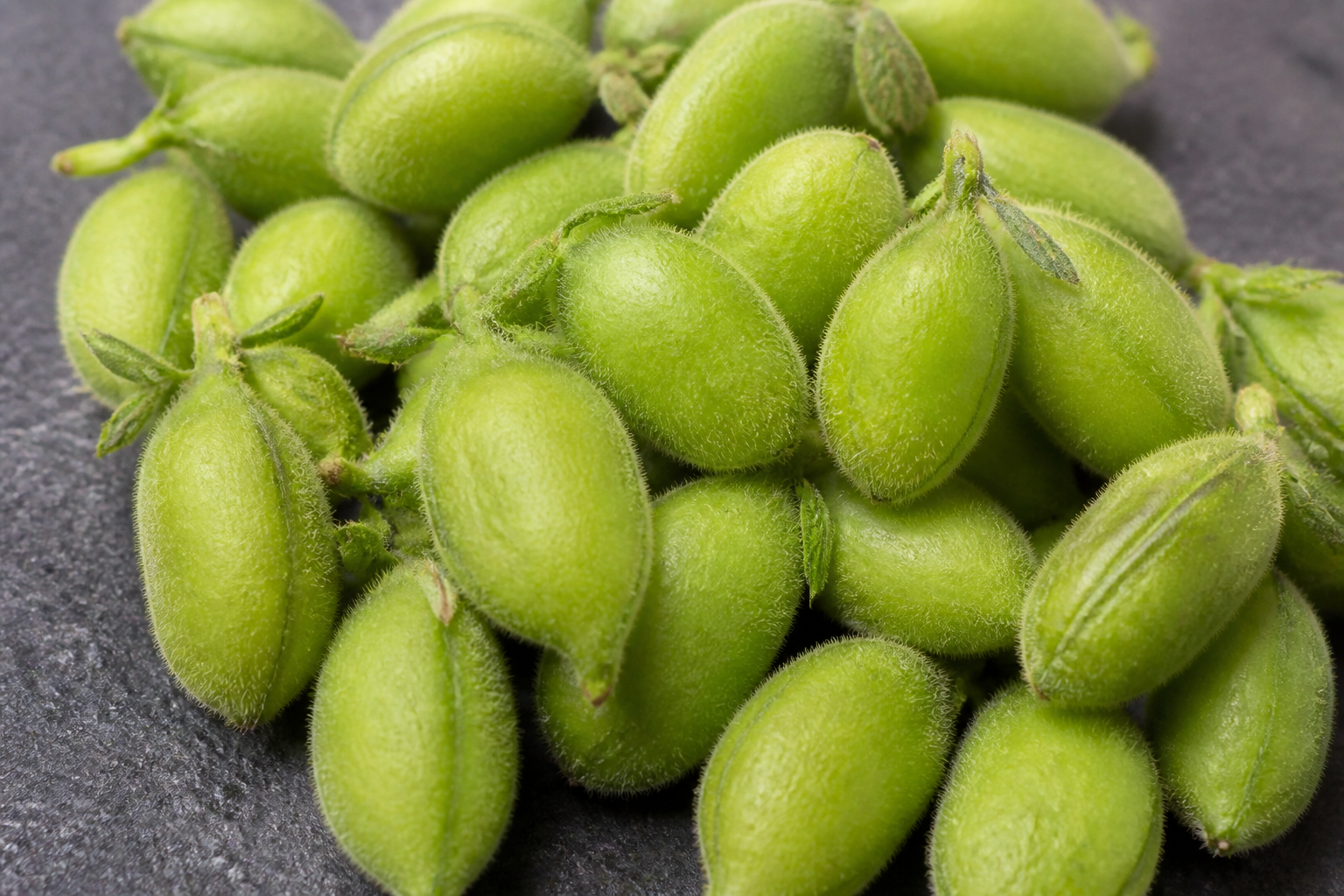 Fresh Chickpeas in Pod