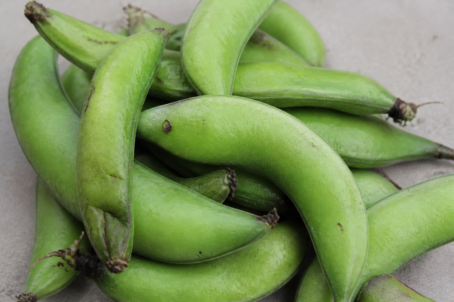 Indian Broad Beans