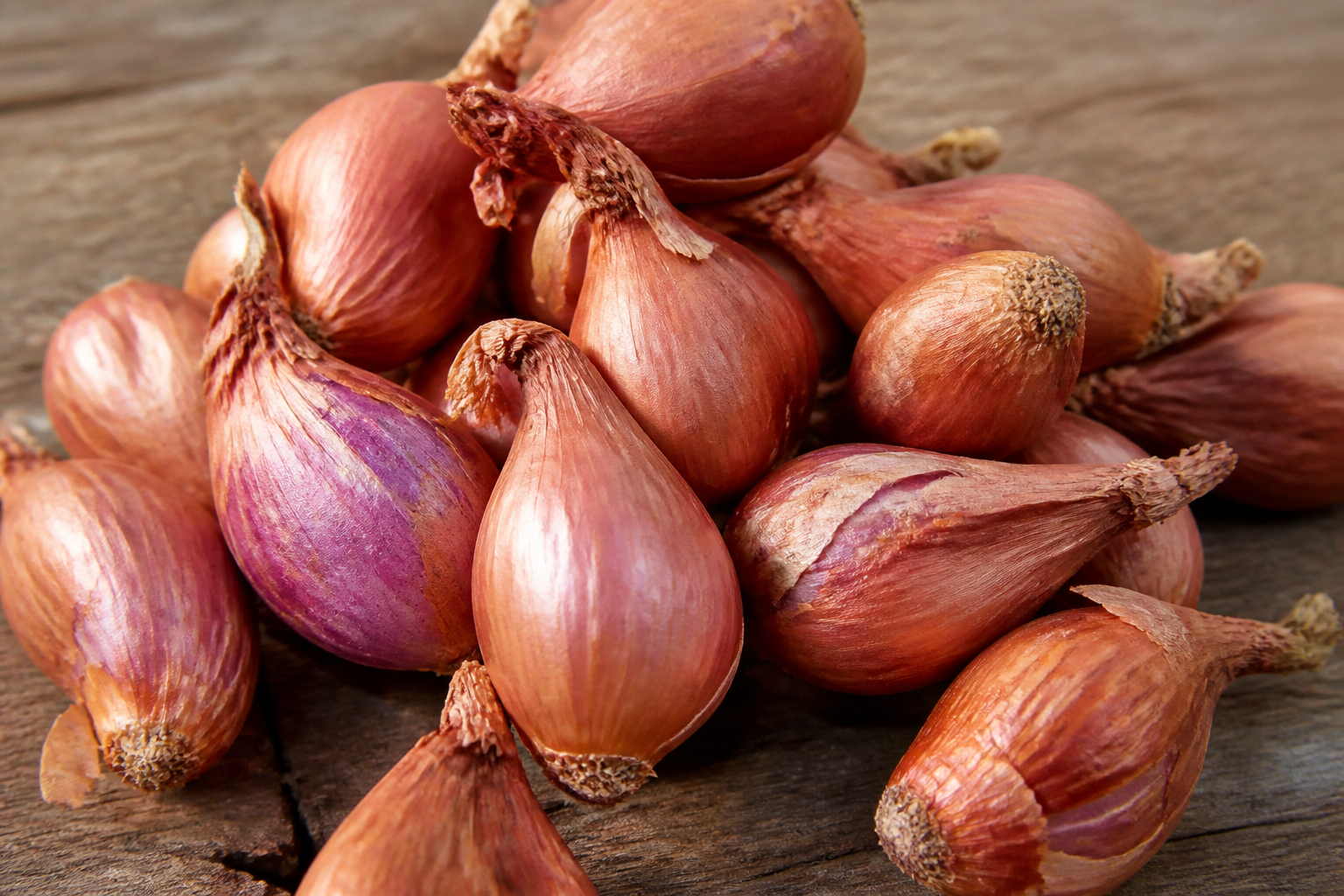 Shallots