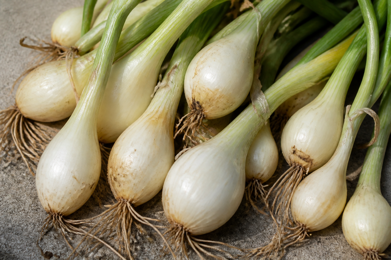 Pearl Onions