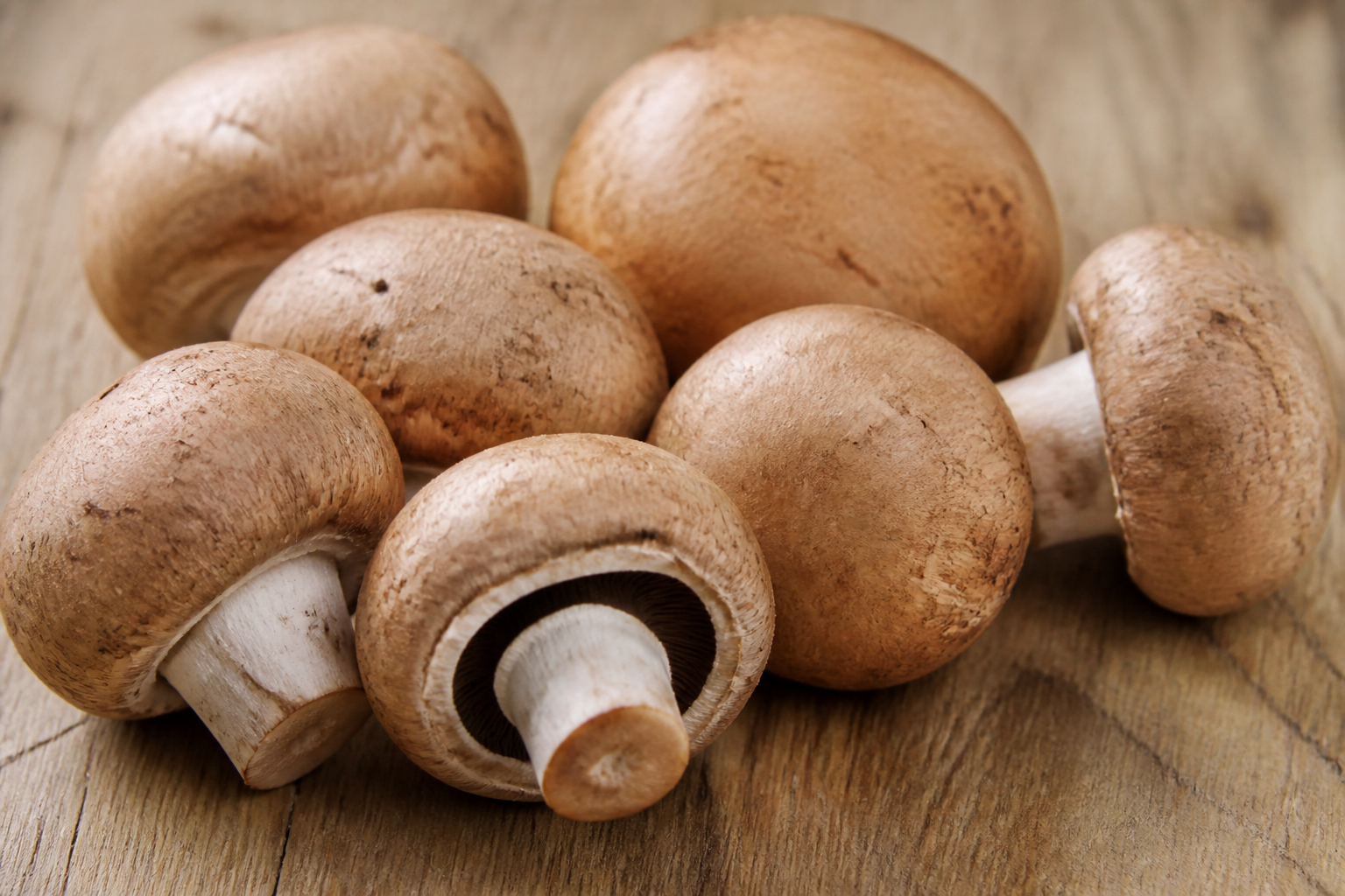 Cremini Mushroom