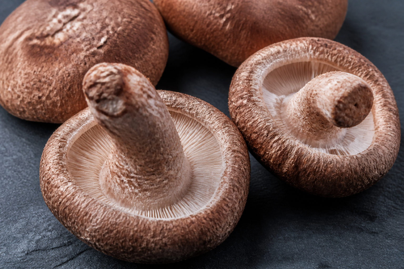 Shiitake Mushroom