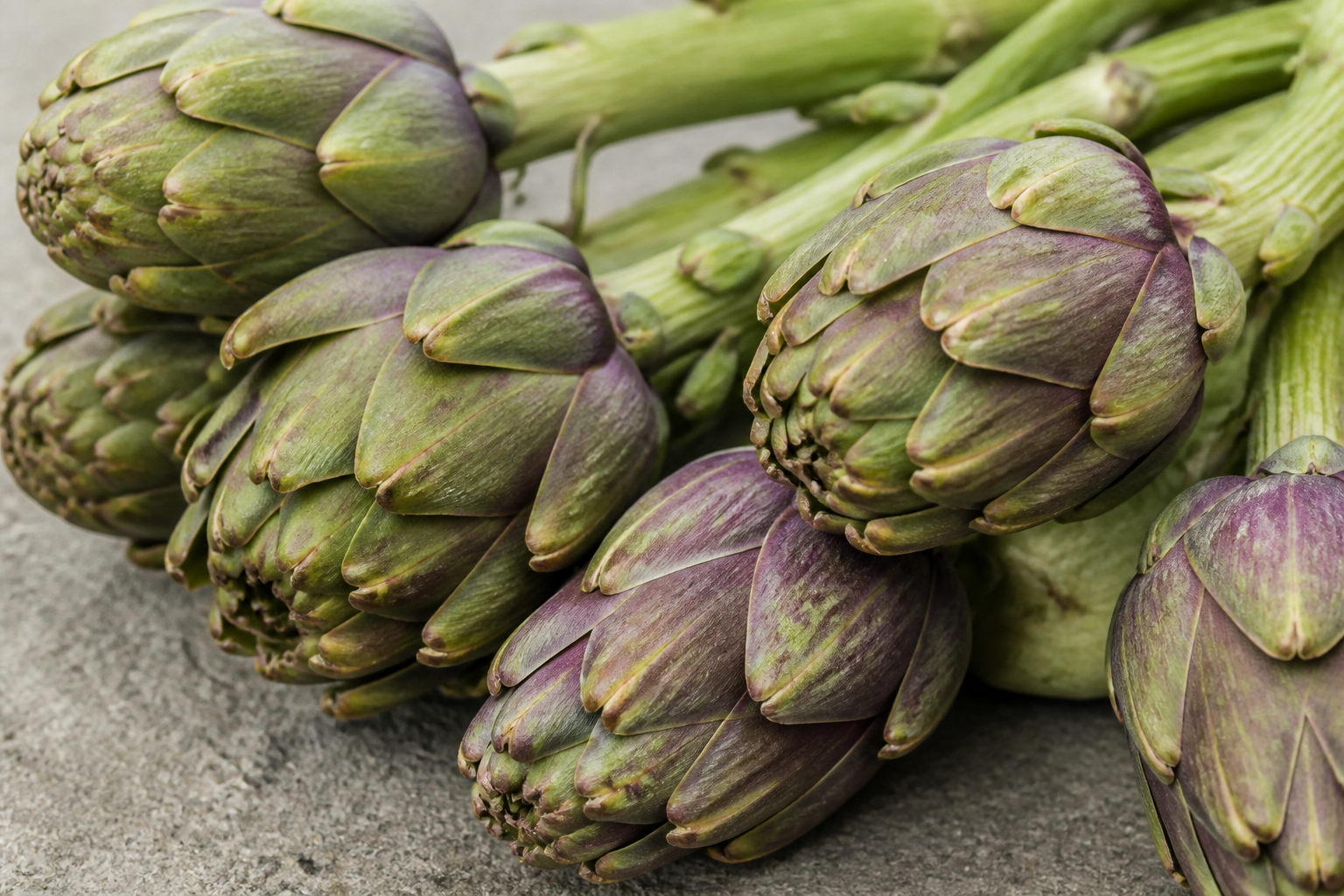 Baby Artichoke
